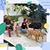 Tina Mencia Bowersett's profile image
