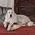 Amy Midkiff's profile image