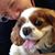 Russ Girsberger's profile image