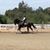 Crystal Jones Rufi's profile image