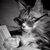 Ilona Lintner's profile image