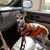 Brandi Tweed Wolf's profile image