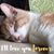 Dottie McLeod R's profile image