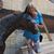 Barbara Mjolund Livingston's profile image