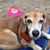 Debbie Savoie's profile image