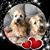 Renee Homitz McKenzie's profile image