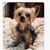Leslie Flippin's profile image