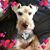 Barbara Bullard's profile image