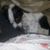 Debbie Burnett's profile image