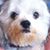 Peggy Zapp-Cirino's profile image