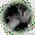 Diana Bruce's profile image