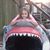 Julie Elswick Sexton's profile image