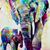 Orlando Carmona Rojas's profile image