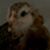 Nycole Crow's profile image