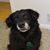 Linda Gober's profile image