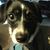 Jeri Sharpe's profile image