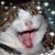 Karen Pomante's profile image