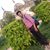 Akshay Mishra's profile image