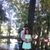 Diana Degollado's profile image