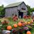 Patty McQuade's profile image