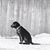 Molly K. Moore's profile image