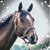 Joanne Van Horn's profile image