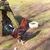Antonio Sanchez's profile image