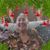 Becky Prieto's profile image