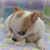Darleen Kegle's profile image