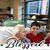 Marilyn Rogers's profile image
