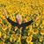 Nanci Faulkner's profile image