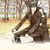 Yadav Nishu's profile image