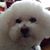 Toni Harbage's profile image