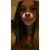 Jacqui Stewart's profile image