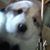Shari Seely Paynter's profile image