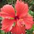 Anne Davis's profile image