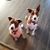 Grace Hester Leeman's profile image