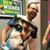 Darren Danger McCall's profile image