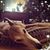Nancy Jourdain's profile image