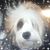 Sandra St John's profile image