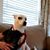 Jennie O'Neil's profile image
