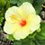 Patricia Clouse Decker's profile image