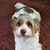 Tricia Wurn's profile image