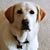 Brigitte Marcum Byrom's profile image