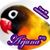Neo Arjuna Pratama's profile image