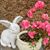 Peggy Mullins's profile image