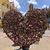 Rachel Bearhope Panepinto's profile image