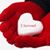 Amber Netzel Bressman's profile image