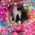 Jesus Islas Sanchez's profile image