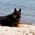 Diane Walton Garrett's profile image